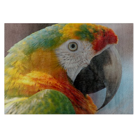 美しいコンゴウインコ カッティングボード (正面)