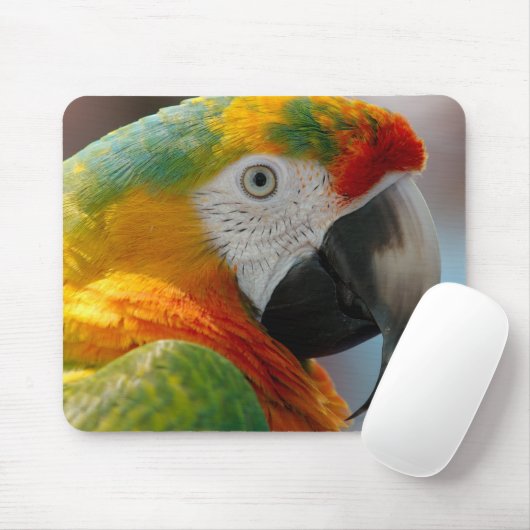 美しいコンゴウインコ マウスパッド (マウス)