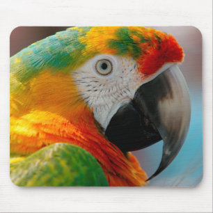 美しいコンゴウインコ マウスパッド