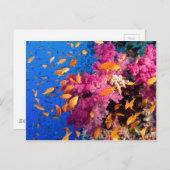 美しいコーラルリーフナチュレスケープ ポストカード (正面/裏面)