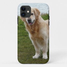 美しいゴールデンレトリバーの犬が立っている iPhone 11 ケース