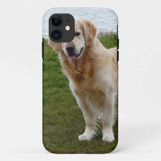 美しいゴールデンレトリバーの犬が立っている Case-Mate iPhoneケース (裏面)