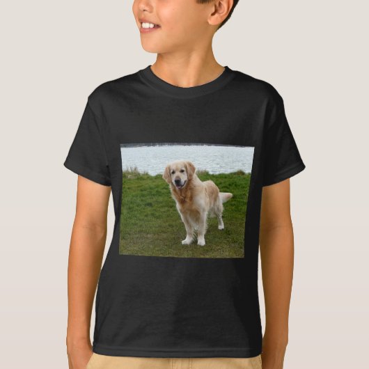美しいゴールデンレトリバーの犬が立っている Tシャツ (正面)