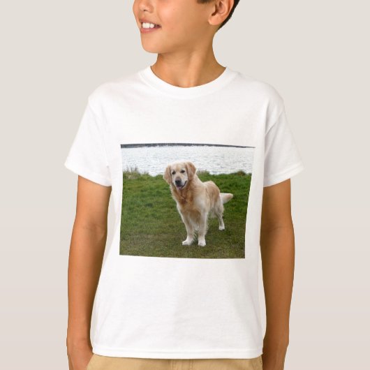 美しいゴールデンレトリバーの犬が立っている Tシャツ (正面)