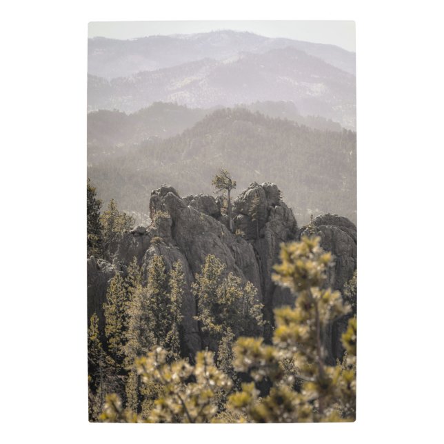 美しいサウスダコタ山脈 メタルプリント (正面)