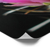 美しいサボテンの花 ポスター (角)