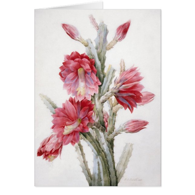 美しいサボテンの開花の水彩画の芸術 (正面)