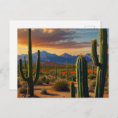 美しいサボテン ポストカード (正面/裏面)