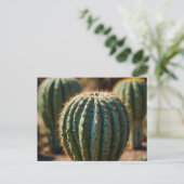 美しいサボテン ポストカード (スタンド正面)