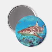 美しいサメ マグネット (正面/裏面)