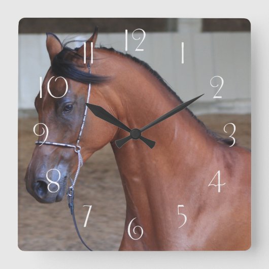 美しいサラブレッド・アラビアのタリオン スクエア壁時計 (正面)