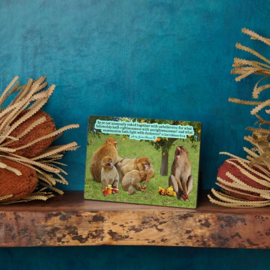 美しいサル聖なる書物、 経典2コリント6:14 フォトプラーク (側面)