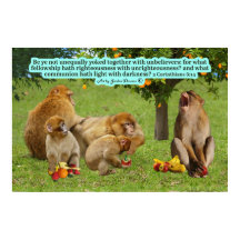 美しいサル聖なる書物、 経典2コリント6:14