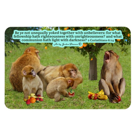 美しいサル聖なる書物、 経典2コリント6:14 マグネット (横)