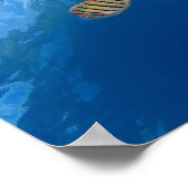 美しいサンゴの水中ポスター/ウォールアート ポスター (角)