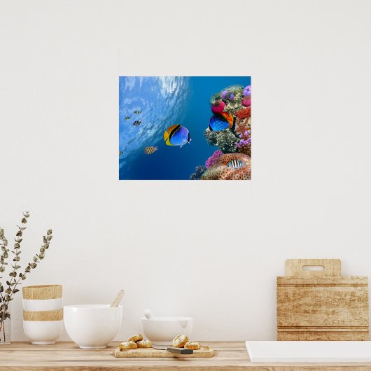 美しいサンゴの水中ポスター/ウォールアート ポスター (キッチン)