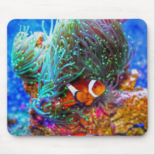 美しいサンゴ礁とピエロ魚 マウスパッド