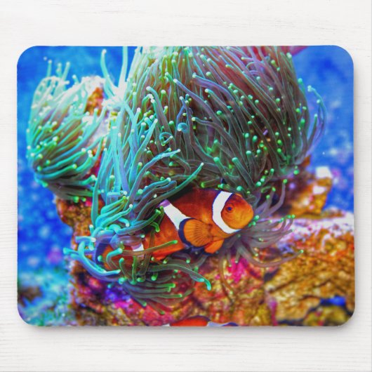 美しいサンゴ礁とピエロ魚 マウスパッド (正面)