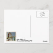 美しいサンタモニカはがき！ ポストカード (裏面)