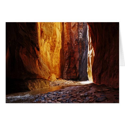 美しいザナルズシオンナショナルパークユタ空白の (正面横)