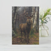 美しいシカ – 森の王 シーズンカード (スタンド正面)