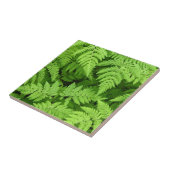 美しいシダの葉 タイル (側面)