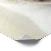 美しいシックな甘いペットシーメシテン猫 ポスター (角)