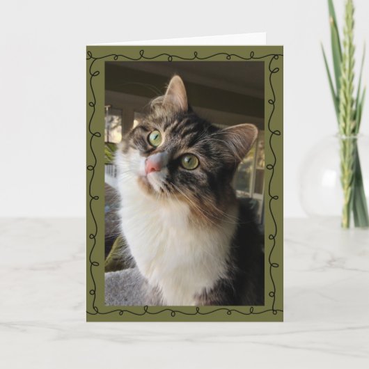 美しいシベリアのメッセージカード カード (正面)