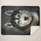 美しいシベリアハスキーシェルパブランケット シェルパブランケット (正面(横))