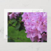 美しいシャクナゲ ポストカード (正面/裏面)