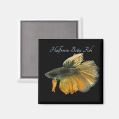 美しいシャムの戦い魚ベッタハーフムーン マグネット (正面/裏面)