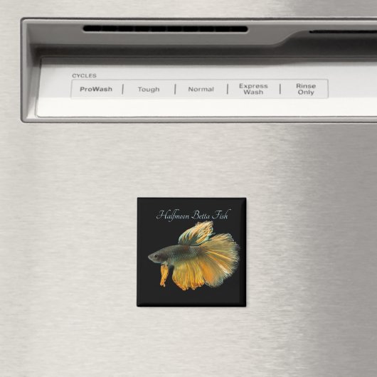 美しいシャムの戦い魚ベッタハーフムーン マグネット (インサイチュ (食洗機))