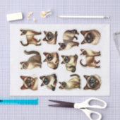 美しいシャム猫の切り身 薄葉紙 (クラフト)