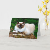 美しいシャム猫フォト誕生日カード カード (黄色い花)