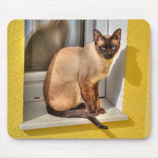 美しいシャム猫 マウスパッド (正面)