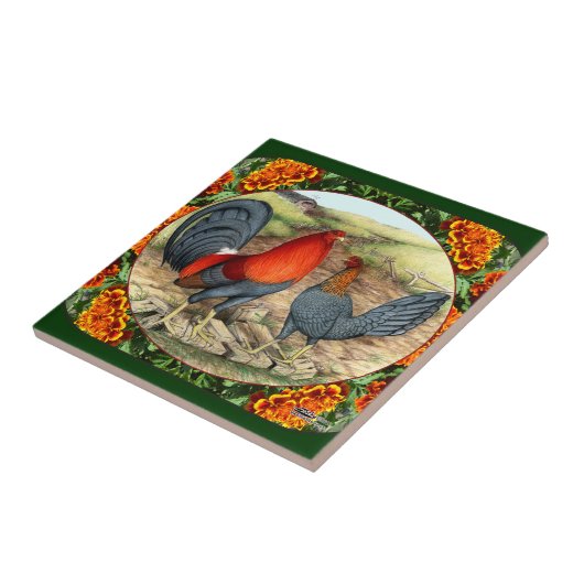 美しいシャモ タイル (側面)