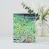 美しいシンプルバイジャージーファウン ポストカード (スタンド正面)