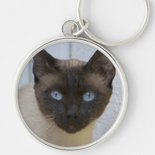 美しいシールポイントのシャム猫 キーホルダー (正面)
