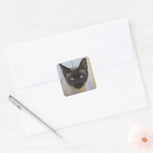 美しいシールポイントシャメネコ スクエアシール (封筒)