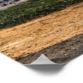 美しいジャファ ポスター (角)