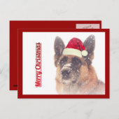 美しいジャーマンシェパードのホリデーポストカード シーズンポストカード (正面/裏面)