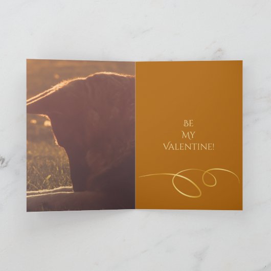 美しいジャーマン・シェパードのバレンタインデーカード シーズンカード (内部)