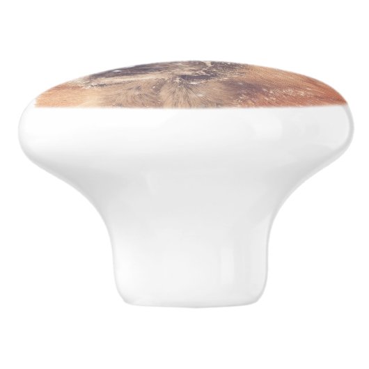 美しいジャーマン・シェパード犬の写真の引出しの引き セラミックノブ (側面)