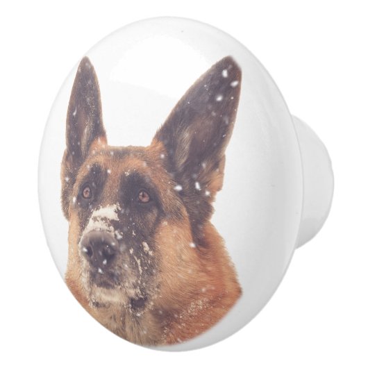 美しいジャーマン・シェパード犬の写真の引出しの引き セラミックノブ (右)