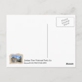 美しいジョシュアの木はがき! ポストカード (裏面)