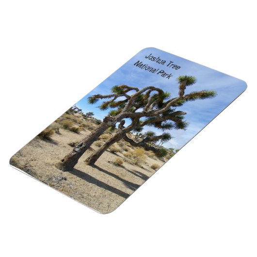 美しいジョシュアツリープレミアムマグネット！ マグネット (左側)