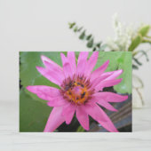 美しいスイレンの移動annoucement 案内状 (スタンド正面)