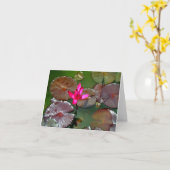 美しいスイレン カード (黄色い花)