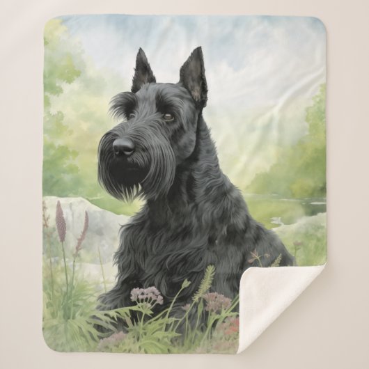 美しいスコットランド シェルパブランケット (正面)