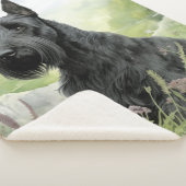 美しいスコットランド シェルパブランケット (3/4)